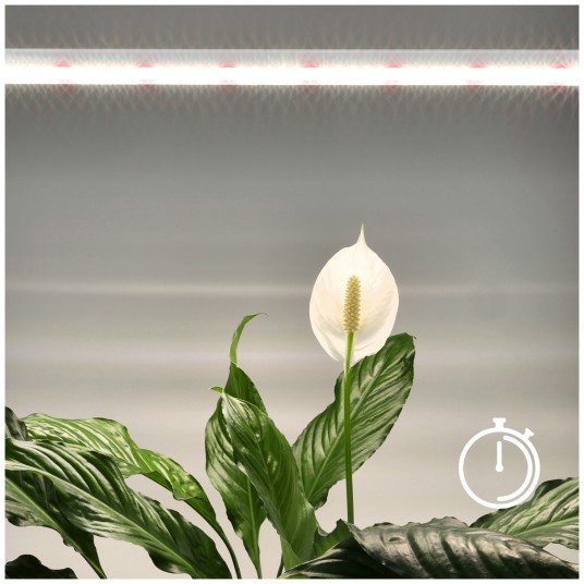 E-shop Stolová lampa LED na rastliny podporujúca rast 15W 1700lm 130° biela Growly Kobi