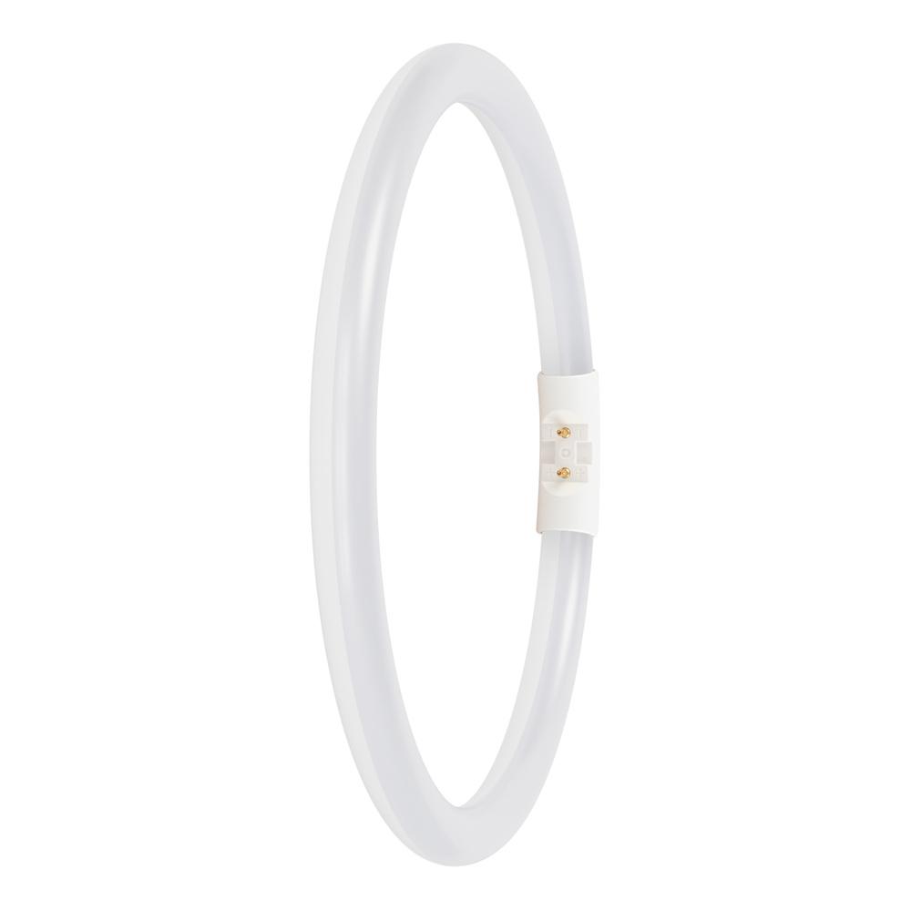 E-shop LED kruhová trubica 2GX13 T5 11, 6W 1550lm 3000K teplá 120° Ledvance