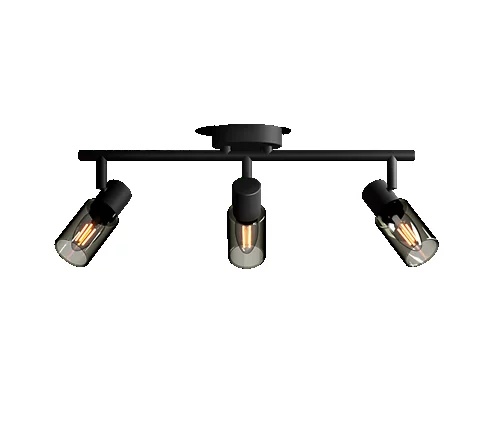 E-shop Reflektorové stropné svietidlo 3x E14 Black Palms Philips