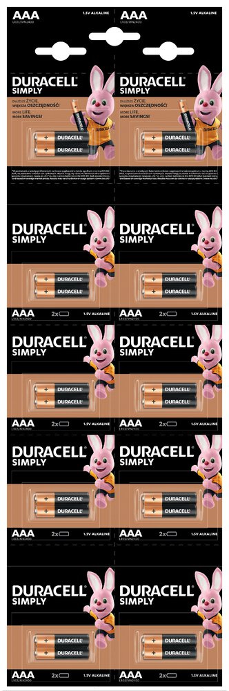 Alkalické batérie DURACELL Basic AAA LR03 20ks Blister