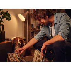 LED žiarovka E27 A60 8W = 60W 806lm 6500K Cold PHILIPS