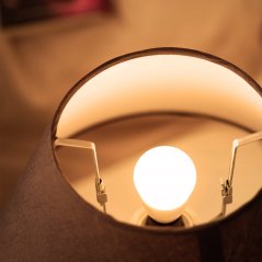 LED žiarovka E27 A60 8W = 60W 806lm 3000K teplá biela PHILIPS