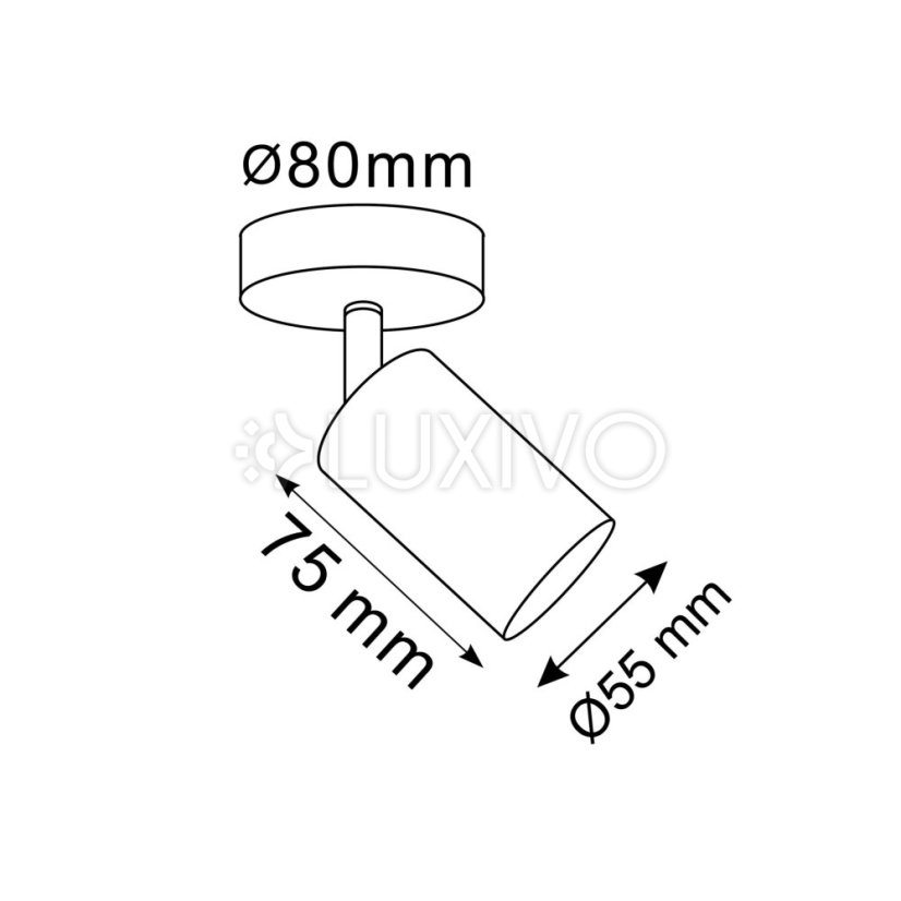 Goldlux nástenné a stropné bodové svietidlo