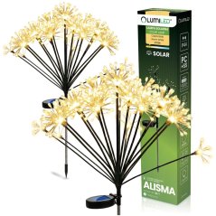 2x Solárna záhradná lampa LED ALISMA zapichovacia vonkajšia 70cm 2700K IP44 LUMILED