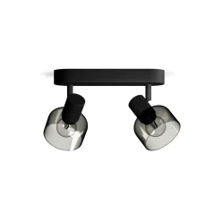 Reflektorové stropné svietidlo 2x E14 Black Sleet Philips