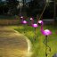 3x LED záhradná lampa Flamingos 54cm