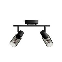 Reflektorové stropné svietidlo 2x E14 Black Palms Philips