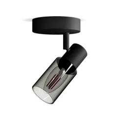 Nástenné svietidlo E14 Black Palms Philips