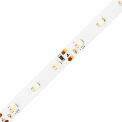 LED pásik 12V 24W 300LED 2835 Cold 8mm 5m