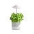 Stolová lampa LED na podporu rastu rastlín 5W 220lm 3000K teplá biela 110° Verdi Kobi