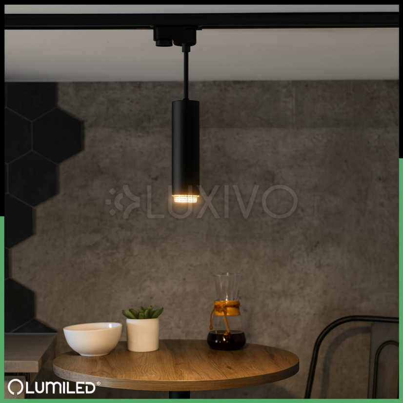 Stropné závesné svietidlo 29cm GU10 LED ELIGIS Black LUMILED