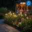 2x Solárna záhradná lampa LED ALISMA zapichovacia vonkajšia 70cm 2700K IP44 LUMILED