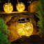 Solárna záhradná lampa LED MAGUS 3000K lampáš lucerna na batérie guľa sklenená pohár LUMILED