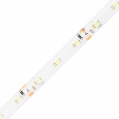 LED pásik 12V 24W 300LED 2835 Cold IP65 8mm 5m