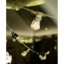 5-PAK LED žiarovka E27 ST14 1W = 10W 2700K Warm 100lm vlákno pre Girland LUMILED