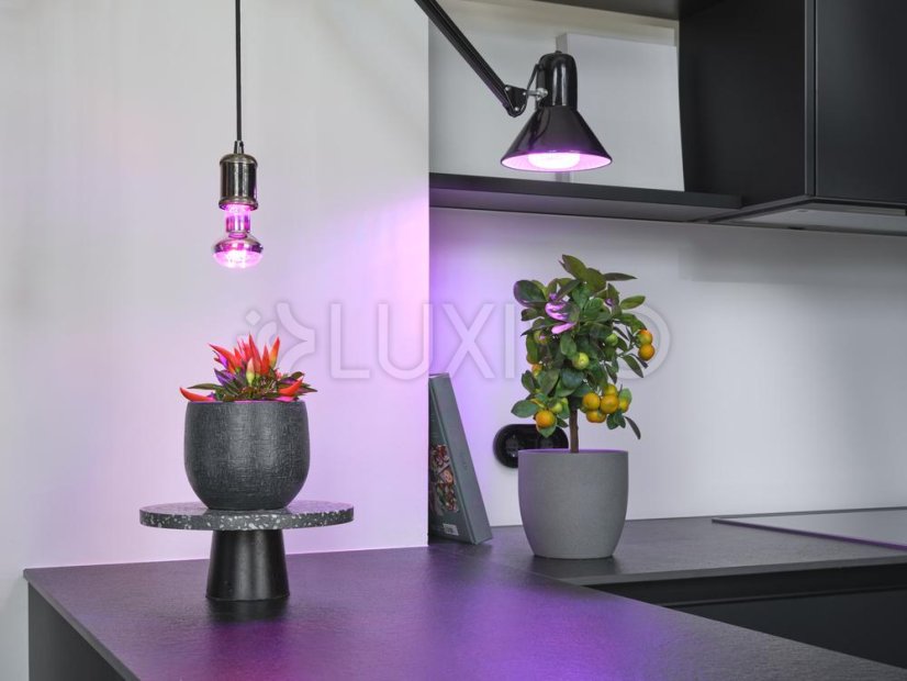 Žiarovka Osram STAR GROW LED na podporu rastu rastlín E27 20W 650lm 110°