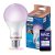 LED žiarovka E27 A60 12,5W = 100W 1521lm 2200-6500K RGB + TW Smart SMART WiFi Bluetooth App WiZ Philips