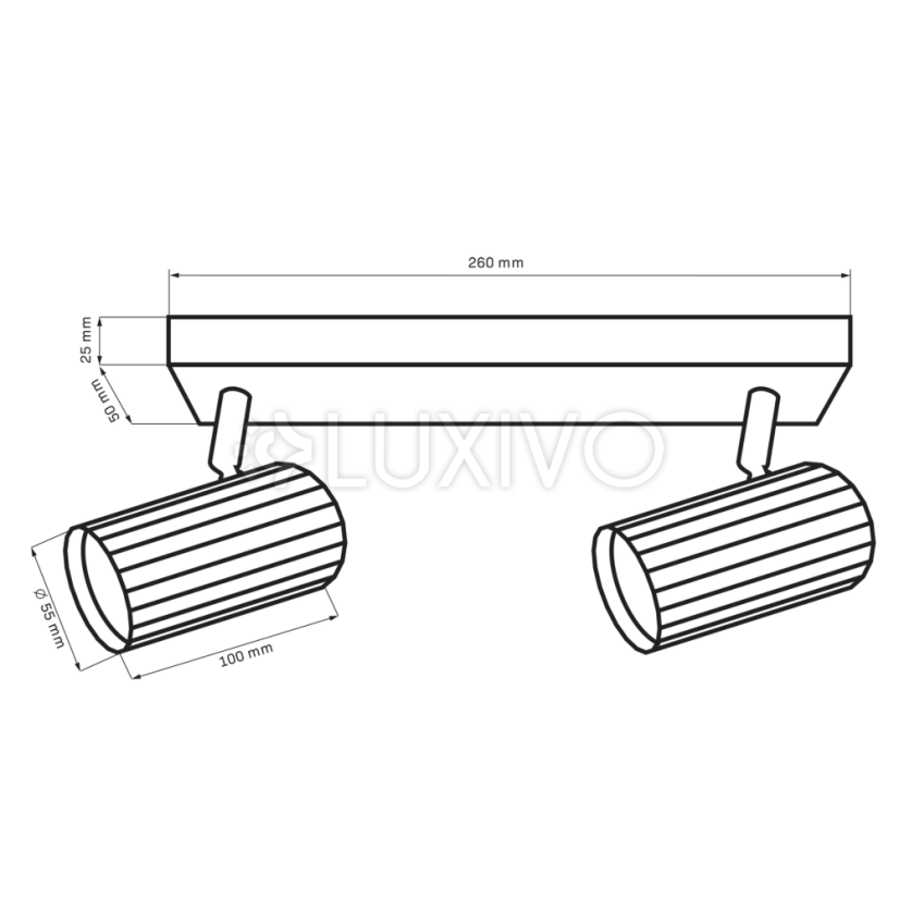 Nástenné-stropné bodové svietidlo 2x GU10 biela zlatá NICEA