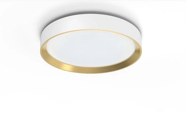 LED stropné svietidlo 24W 2800lm 4000K SceneSwitch White|Gold Hanno Philips | obývačka