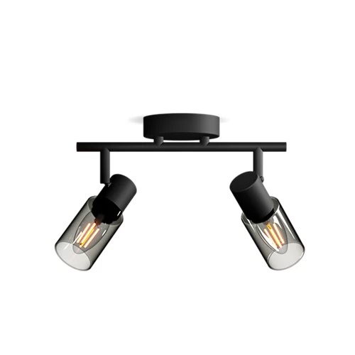 E-shop Reflektorové stropné svietidlo 2x E14 Black Palms Philips