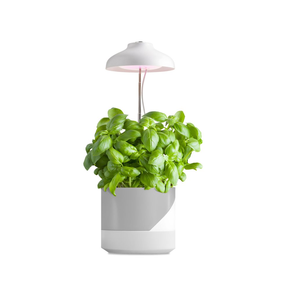 E-shop Stolová lampa LED na podporu rastu rastlín 5W 220lm 3000K teplá biela 110° Verdi Kobi